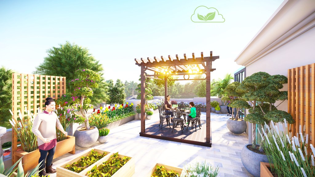 Thiết kế vườn sân thượng nhà phố Lê Ngọc Hân- Hà Nội